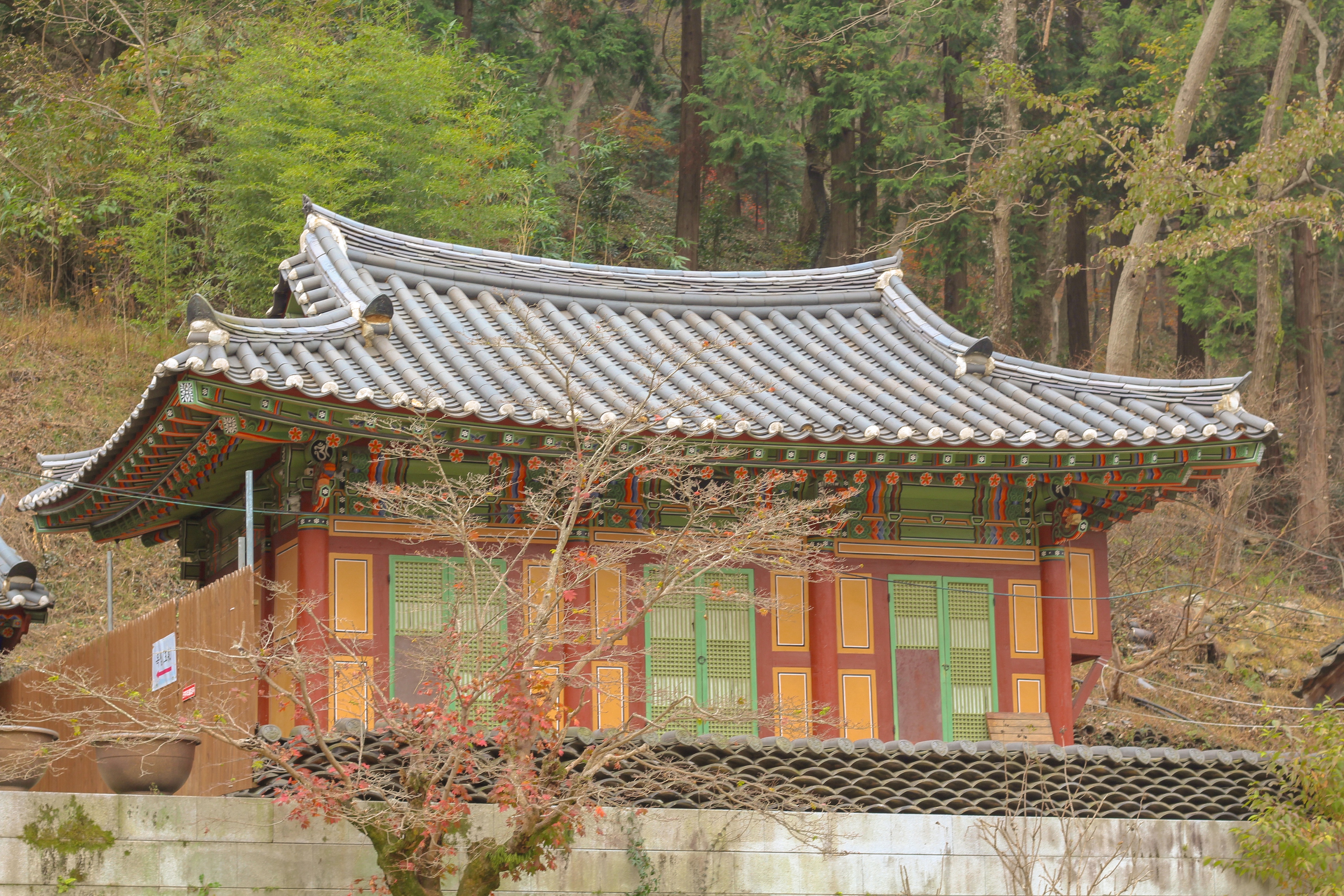 옥천사